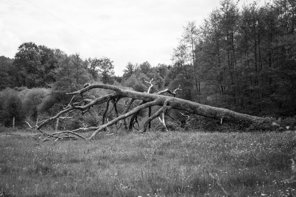 reportage photo famille 13